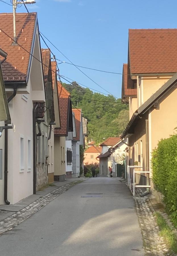 Krakovska Apartments Ljubljana Dış mekan fotoğraf