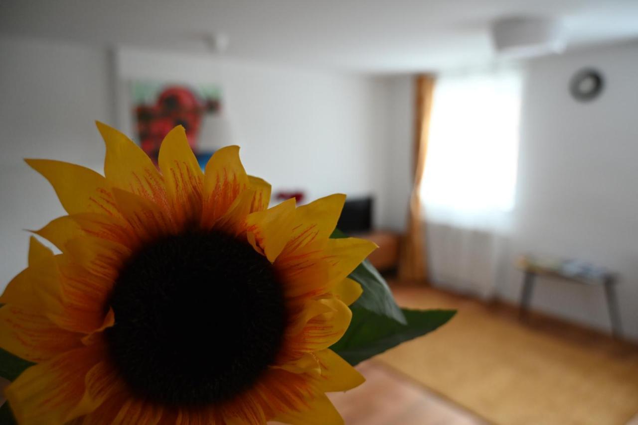 Krakovska Apartments Ljubljana Dış mekan fotoğraf